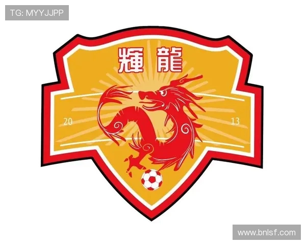 球迷盼「陕超」升级 陕西体育局：三级联赛体系已完善(1)